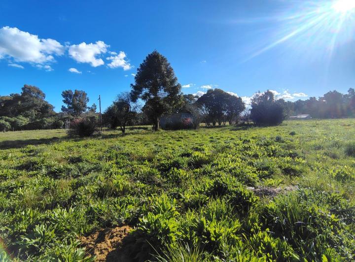 Terreno · 12285m²