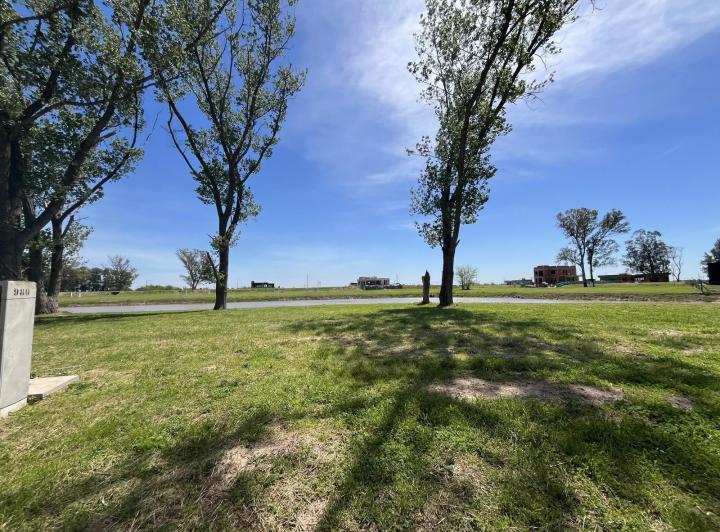 Terreno · 785m²