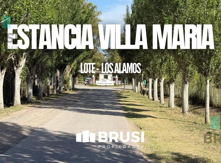 Terreno · 3851m²
