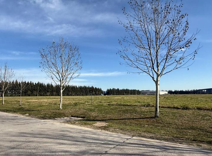 Terreno · 11021m²