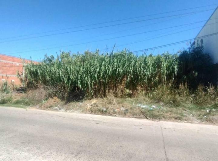 Terreno · 900m²