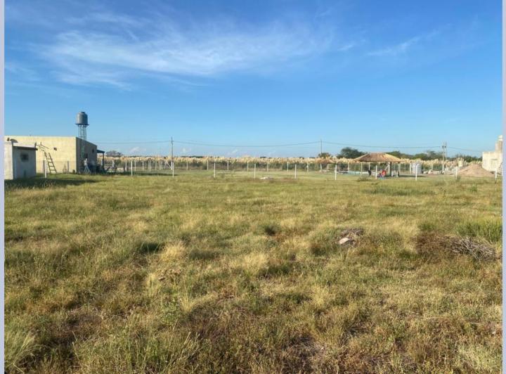 Terreno · 2000m²