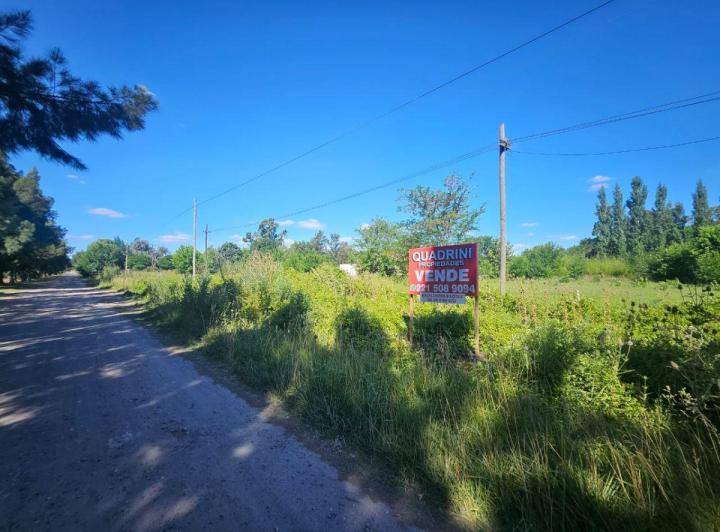 Terreno · 1000m²