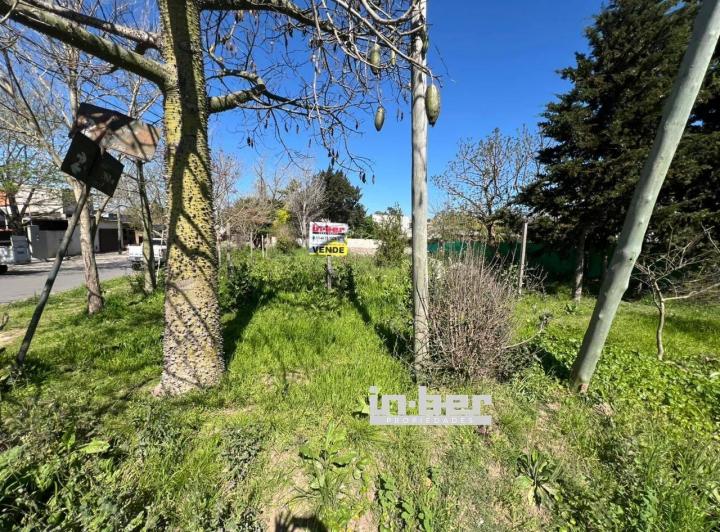 Terreno · 435m²