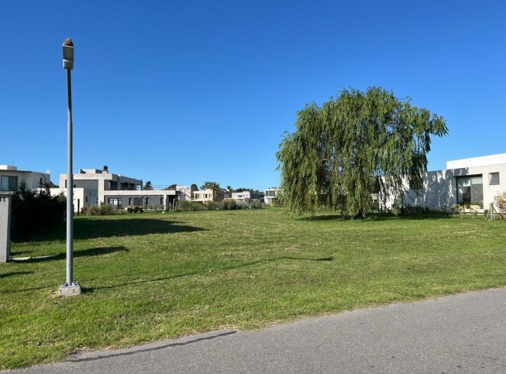 Terreno · 1029m²