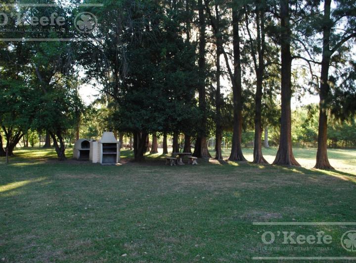 Terreno · 562m²