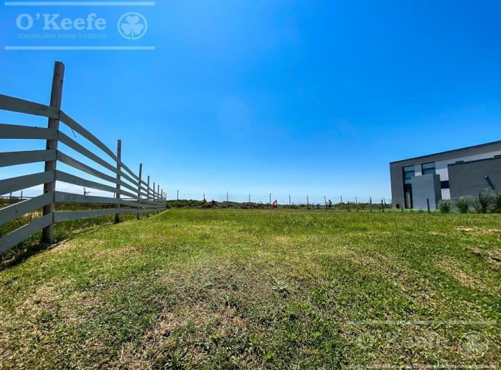 Terreno · 700m²