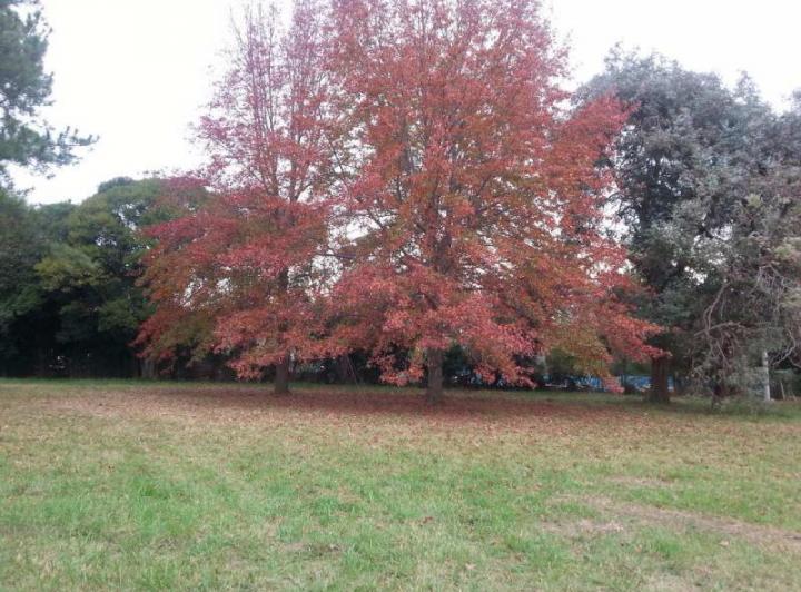 Terreno · 600m²