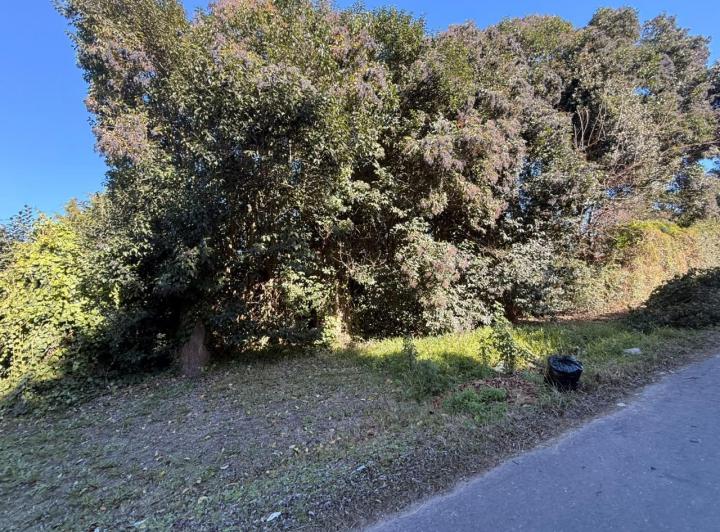 Terreno · 562m²