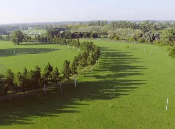 Terreno · 5866m²