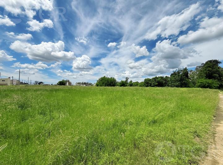 Terreno · 16184m²