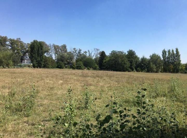 Terreno · 5000m²