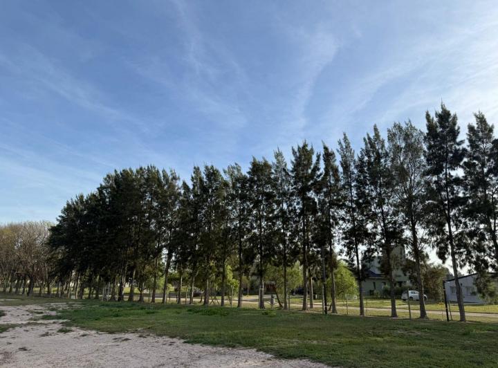 Terreno · 1m²
