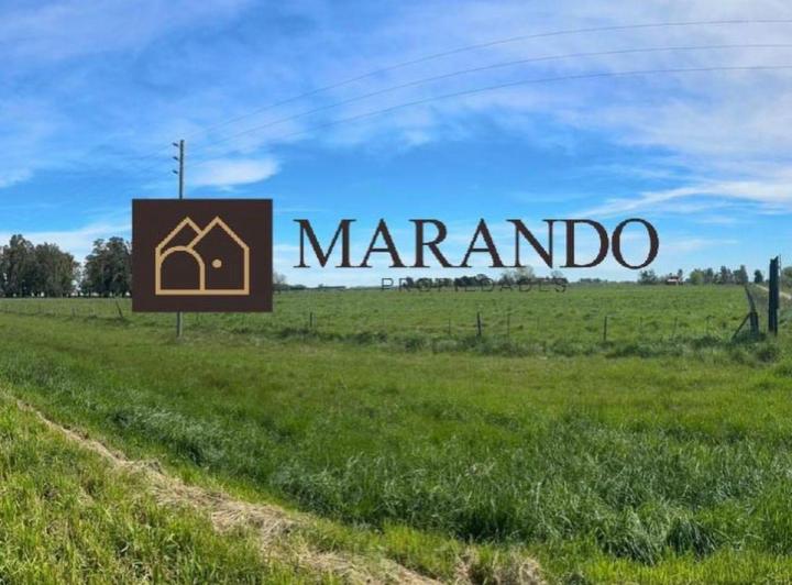Terreno · 15700m²
