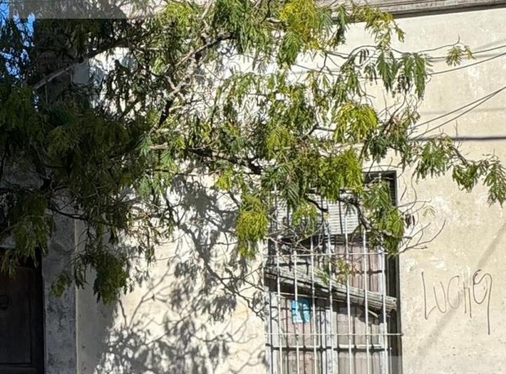 Terreno · 387m²