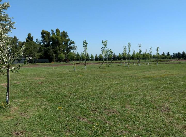 Terreno · 1015m²
