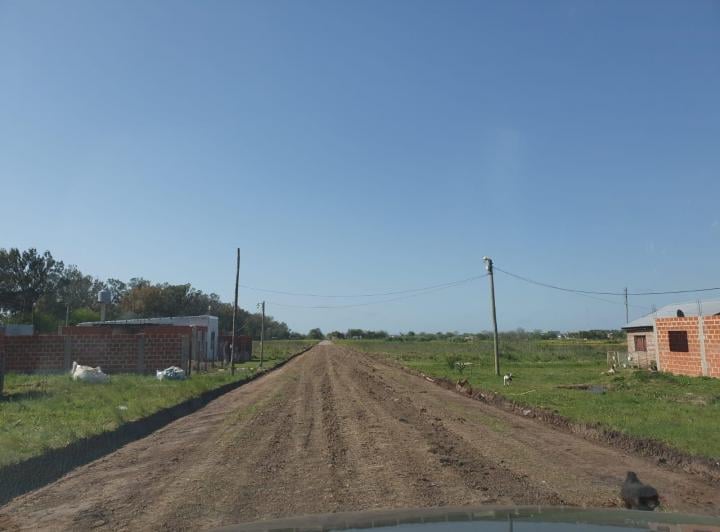 Terreno