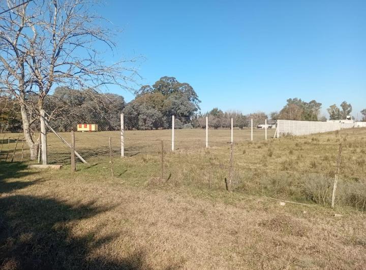 Terreno · 5000m²
