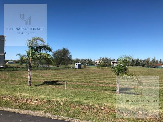Terreno · 1000m²