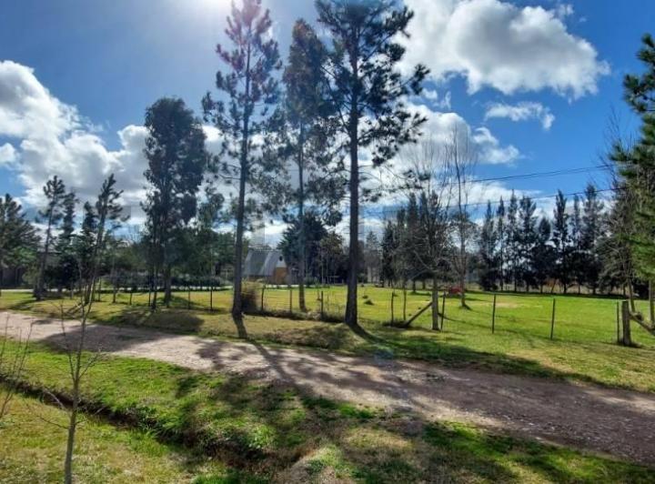 Terreno · 1000m² · 1 Ambiente · 3 Cocheras