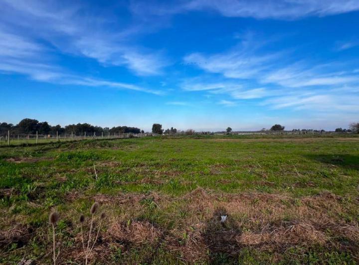 Terreno · 17835m²