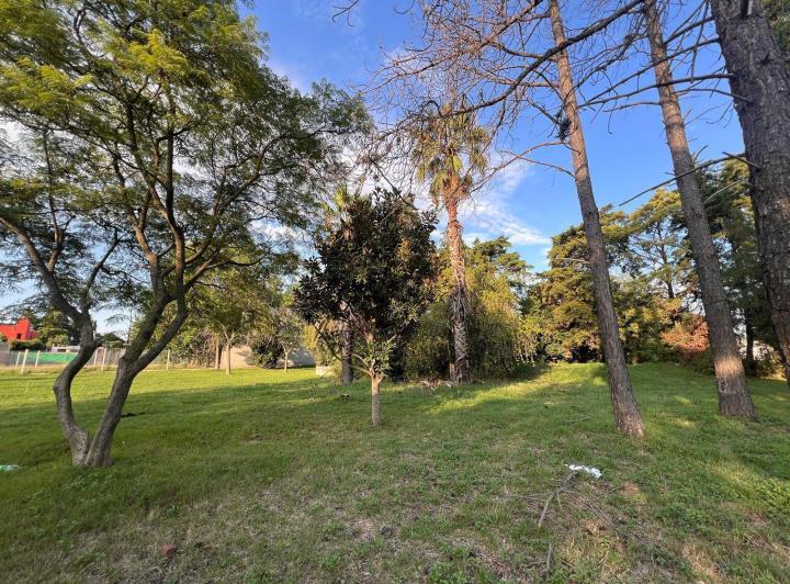 Terreno · 332m²