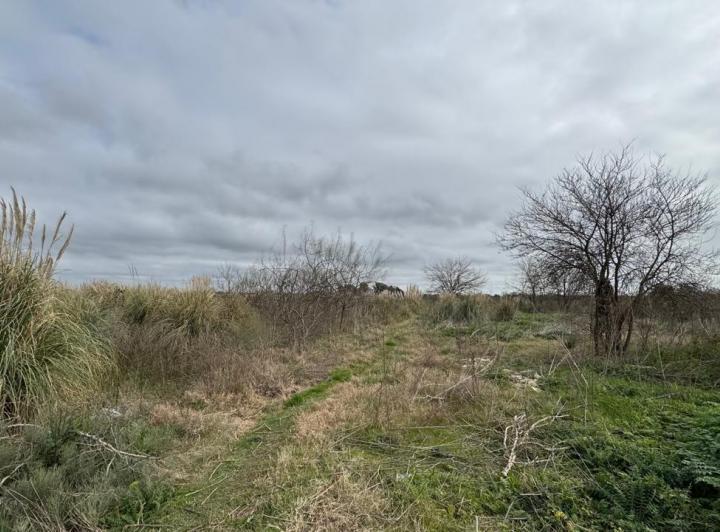 Terreno · 310000m²