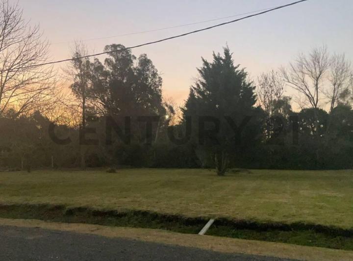 Terreno · 423m²