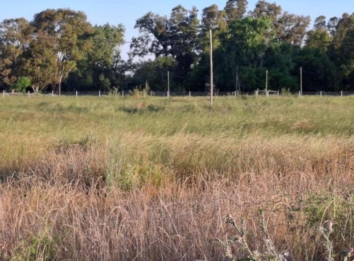 Terreno · 300m²