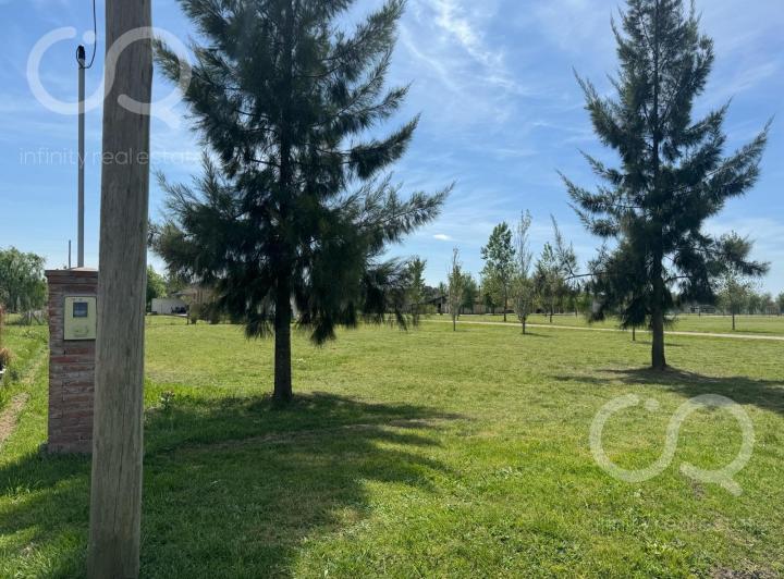 Terreno · 1077m²