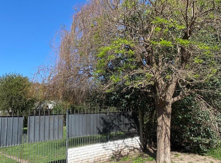 Terreno · 2250m²