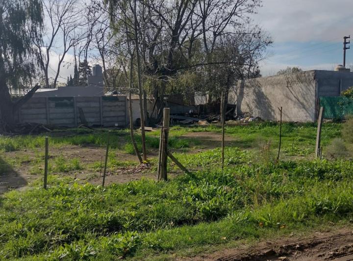 Terreno