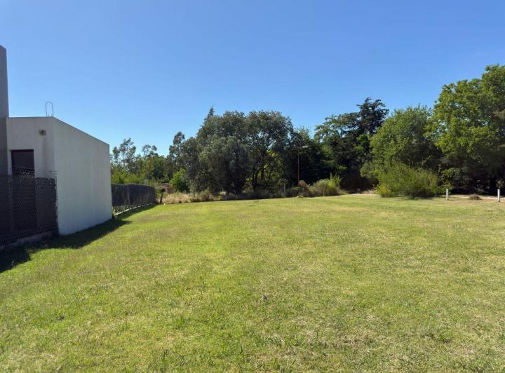 Terreno · 61163m²