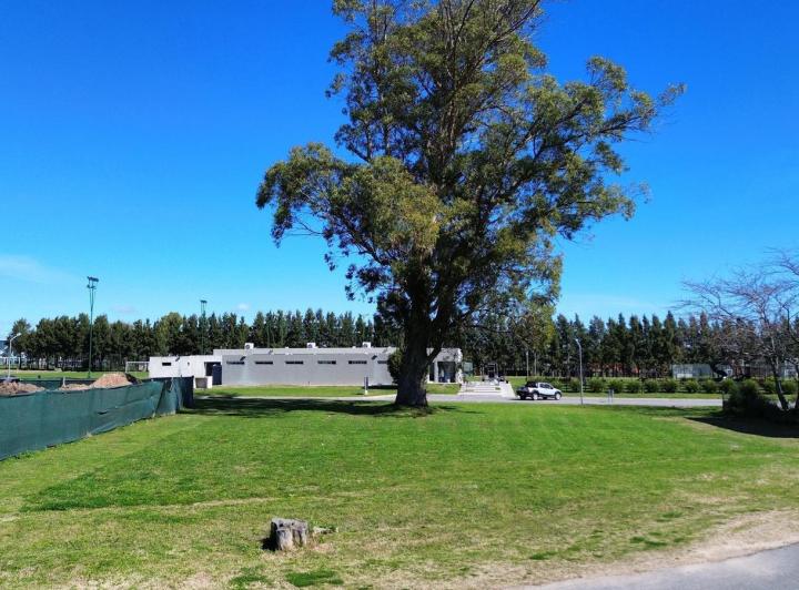 Terreno · 870m²
