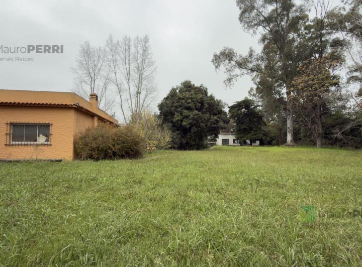 Terreno · 60m²