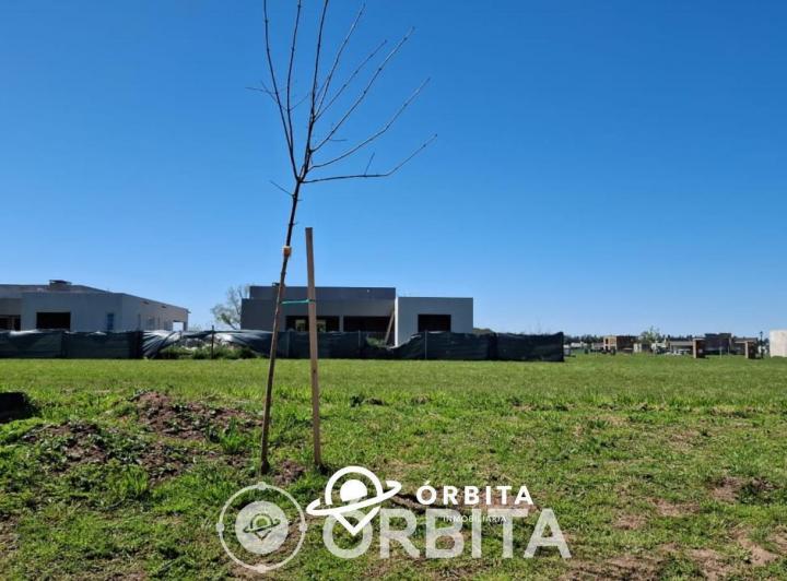 Terreno · 601m²