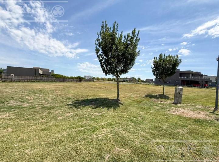 Terreno · 741m²