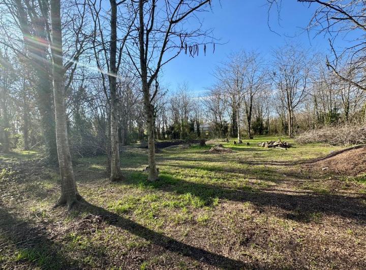 Terreno · 5000m²