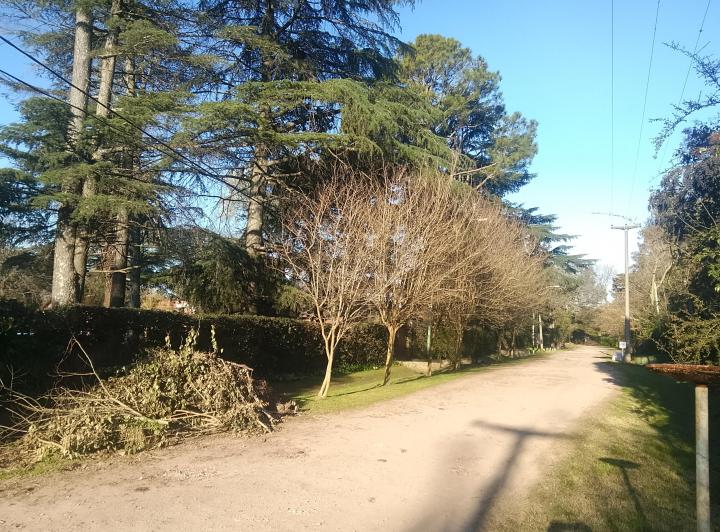 Terreno · 1420m²