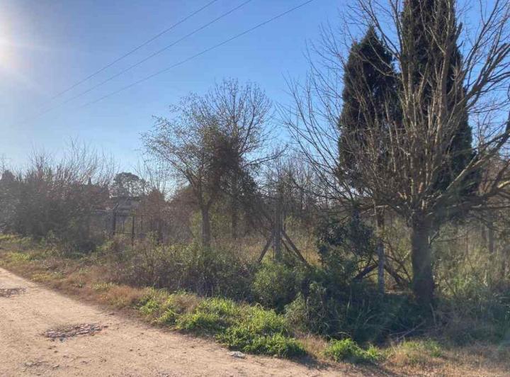 Terreno · 810m²