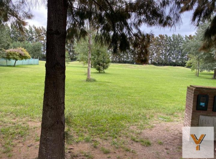 Terreno · 1200m²