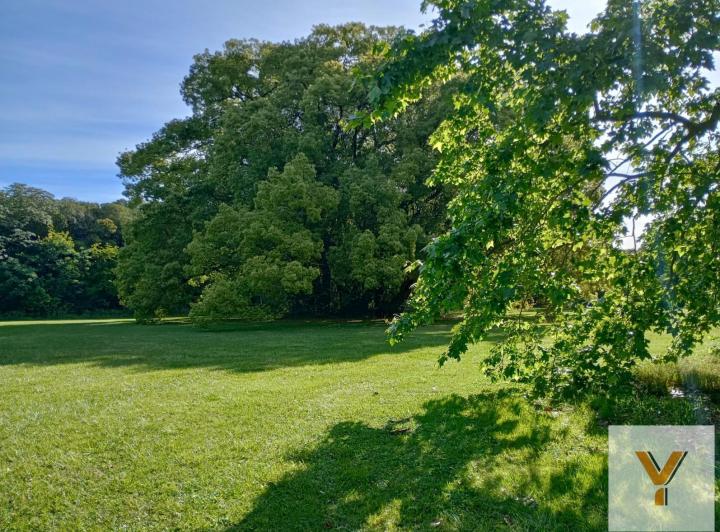 Terreno · 25000m²