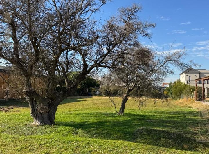 Terreno · 600m²