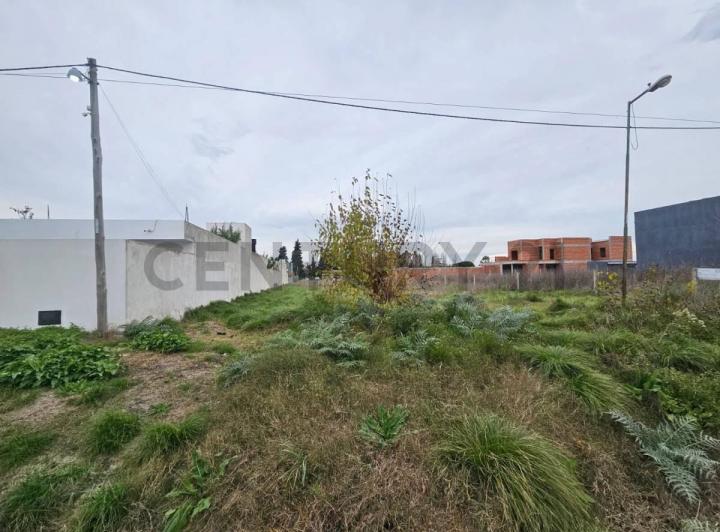 Terreno · 1200m²