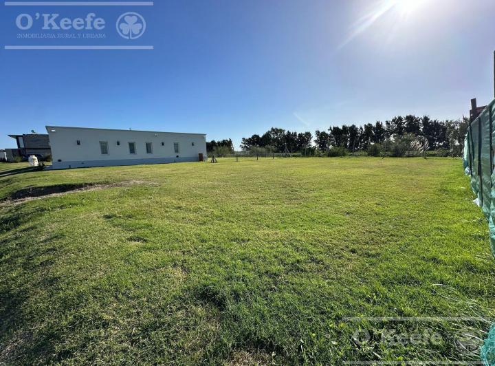 Terreno · 688m²