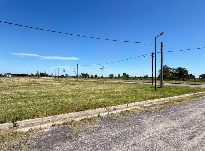 Terreno · 311m²