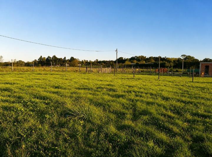 Terreno · 460m²