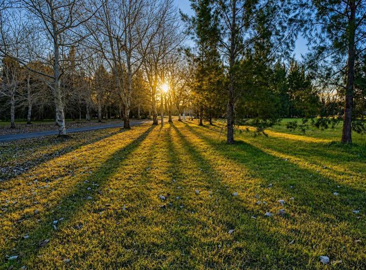 Terreno · 1000m²