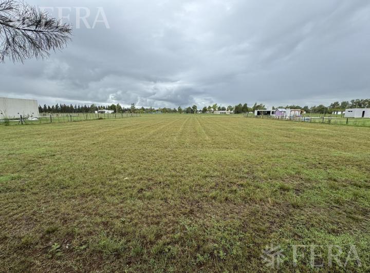 Terreno · 2550m²
