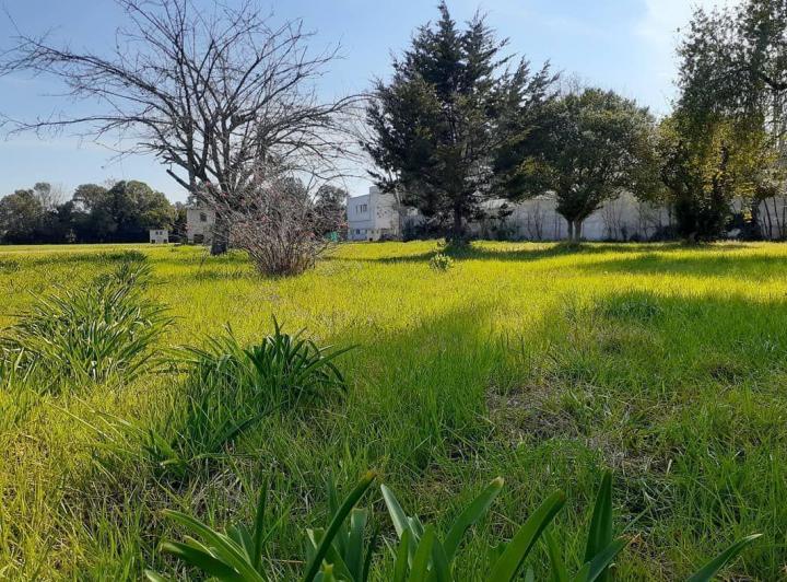 Terreno · 399m²